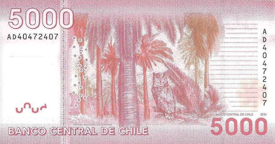 Chile 5000 peso Sowa 2014 P-163e