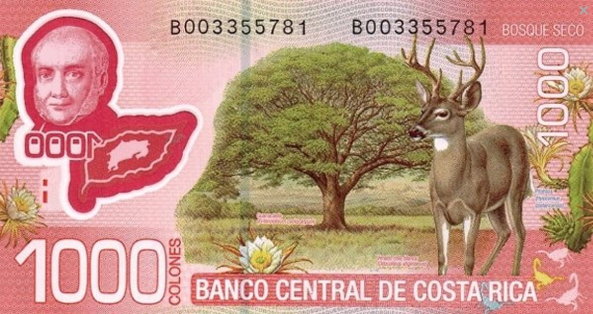Kostaryka 1000 colones Mulak 2013 P-274b
